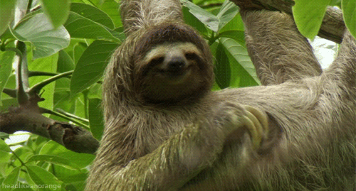 Random Knowledges (15 gifs) Random Knowledges (15 gifs)