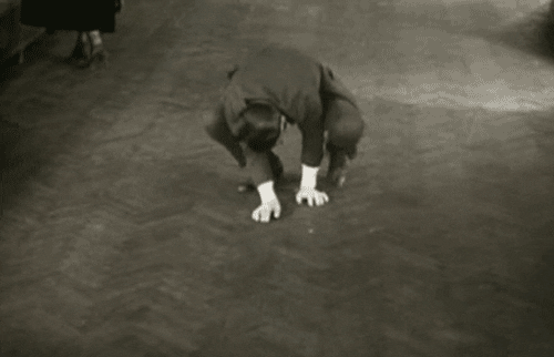 Scary Facts (15 gifs) Scary Facts (15 gifs)