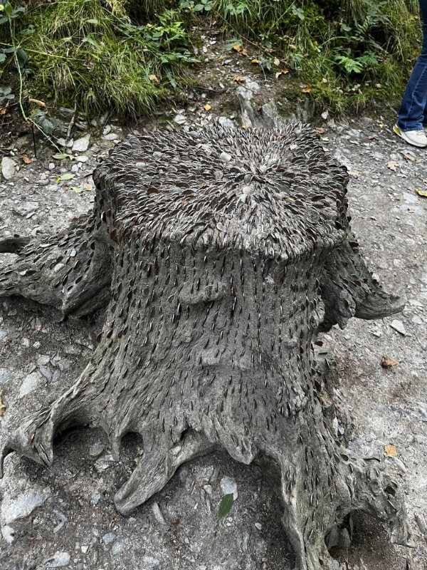 Interesting And Unusual Finds (25 pics)