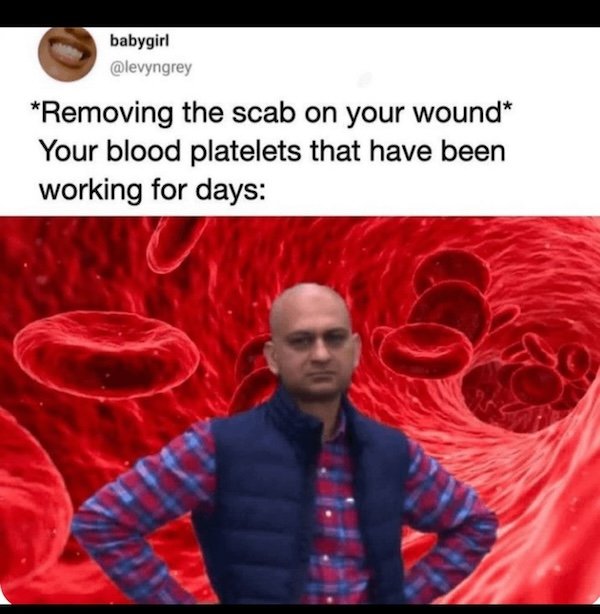 Science Memes (22 pics)