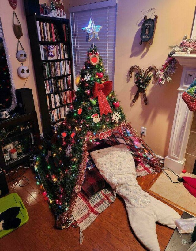 Creative Christmas Trees (25 pics)
