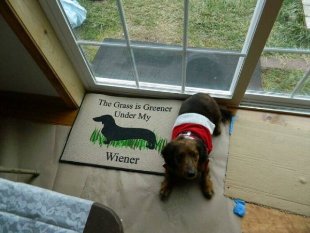 Hilarious Gifts (29 pics)