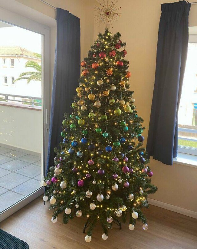 Creative Christmas Trees (25 pics)