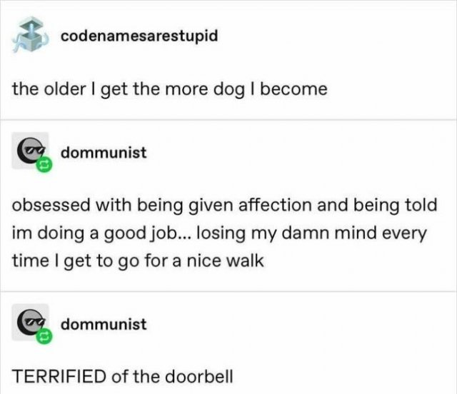 Truthful Memes (24 pics)