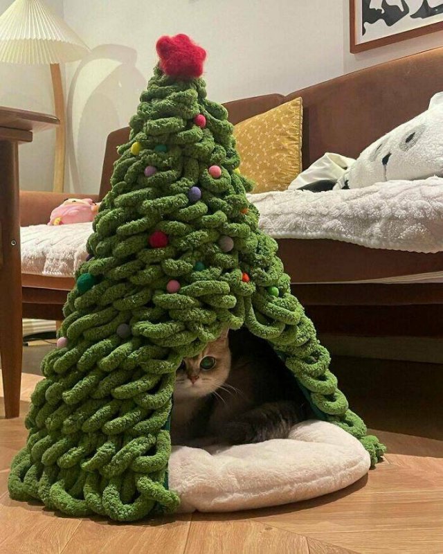 Creative Christmas Trees (25 pics)
