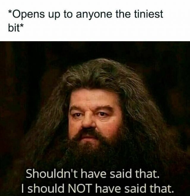 Truthful Memes (24 pics)