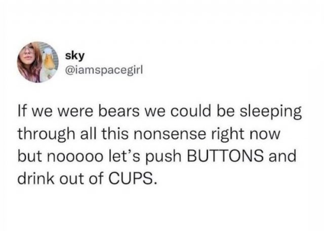 Jokes About Tiredness (13 pics)