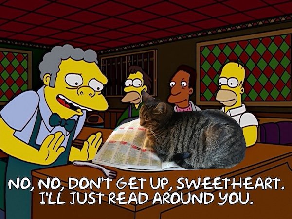 Jokes For ''The Simpsons Fans'' (20 pics)