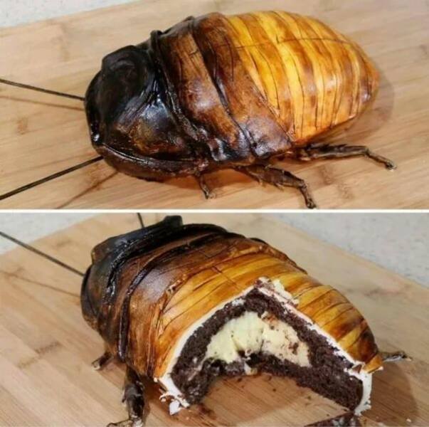Crazy And Strange Dishes (28 pics)