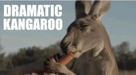 Interesting Facts About Countries (15 gifs) Interesting Facts About Countries (15 gifs)