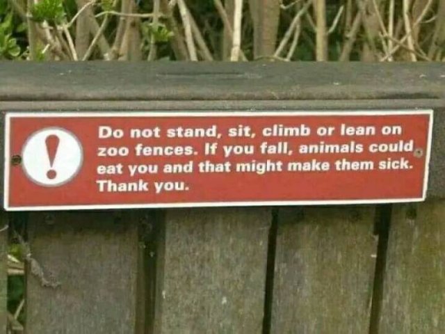 Funny Signs (24 pics)