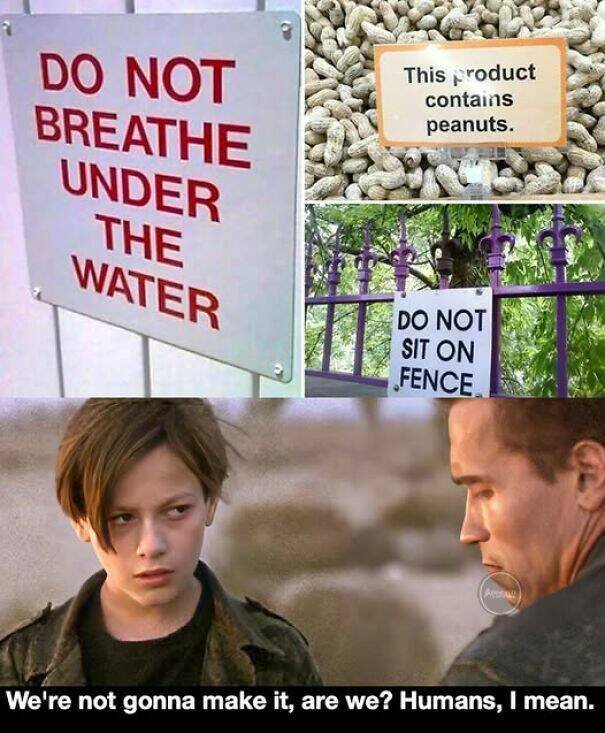 Funny Signs (24 pics)