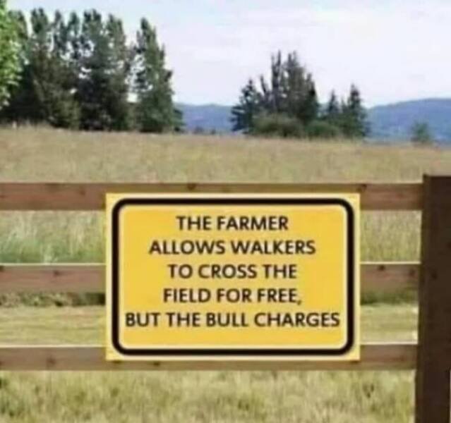 Funny Signs (24 pics)
