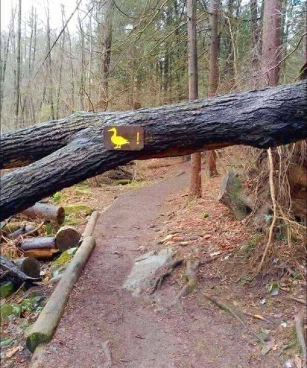 Funny Signs (24 pics)