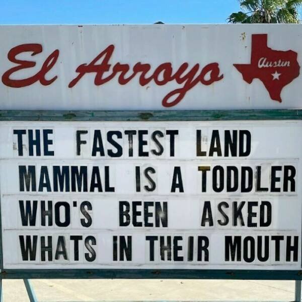 Funny Signs (40 pics)