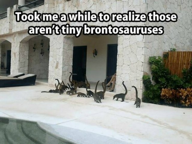 Memes For Dinosaur Lovers (25 pics)