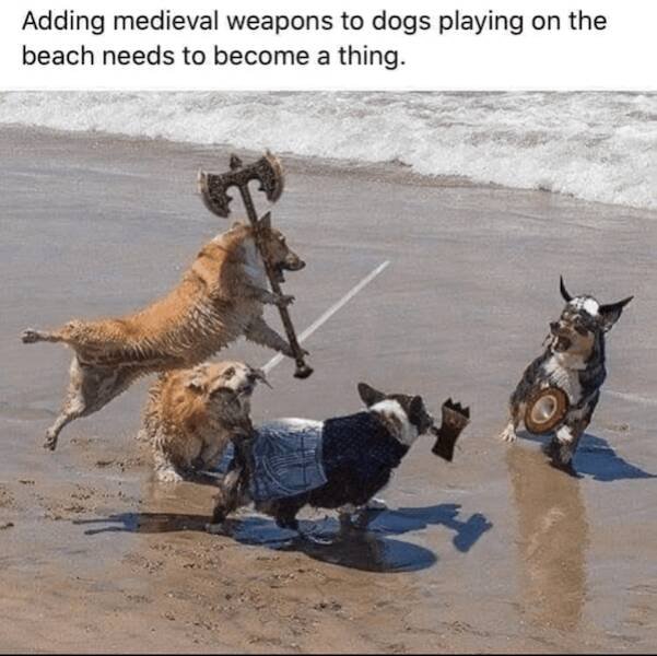 Jokes With Dogs (24 pics)