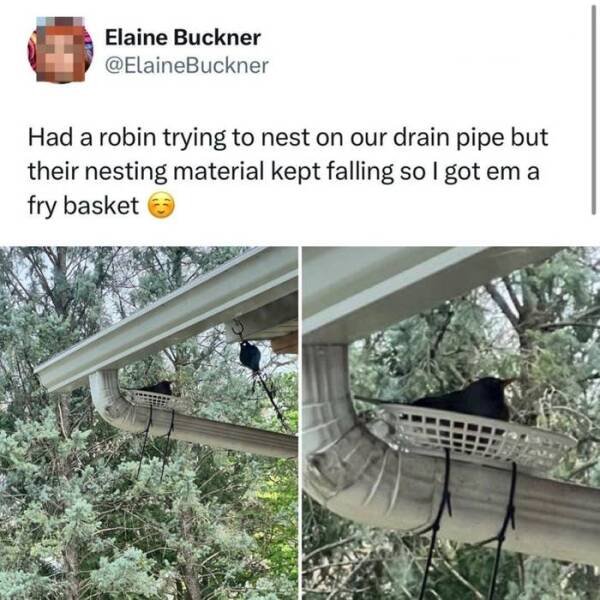 Heartwarming Stories For Good Mood (24 pics)