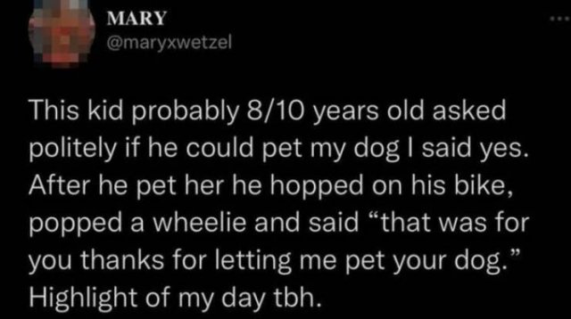 Heartwarming Stories For Good Mood (24 pics)
