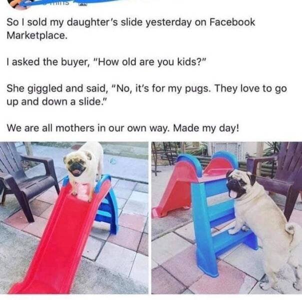 Heartwarming Stories For Good Mood (24 pics)
