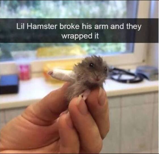Heartwarming Stories For Good Mood (24 pics)