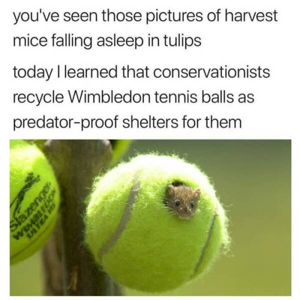 Heartwarming Stories For Good Mood (24 pics)