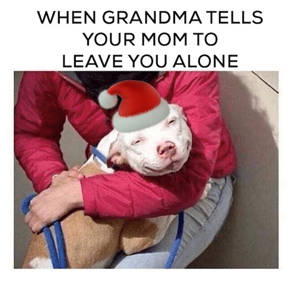 Christmas Memes (25 pics)