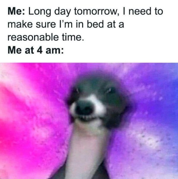 Funny Memes (20 pics)