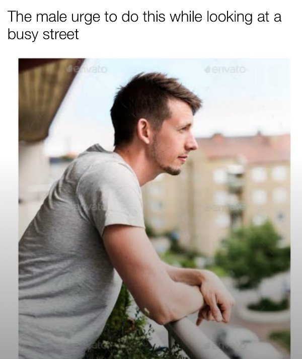 Funny Memes (20 pics)