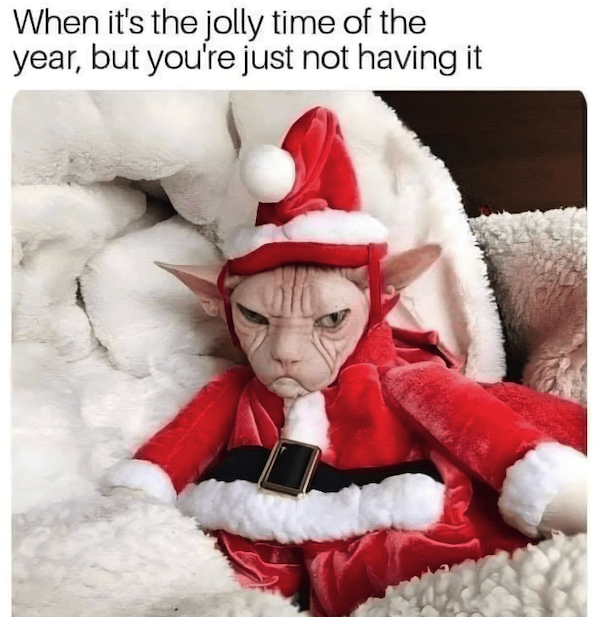 Christmas Memes (25 pics)