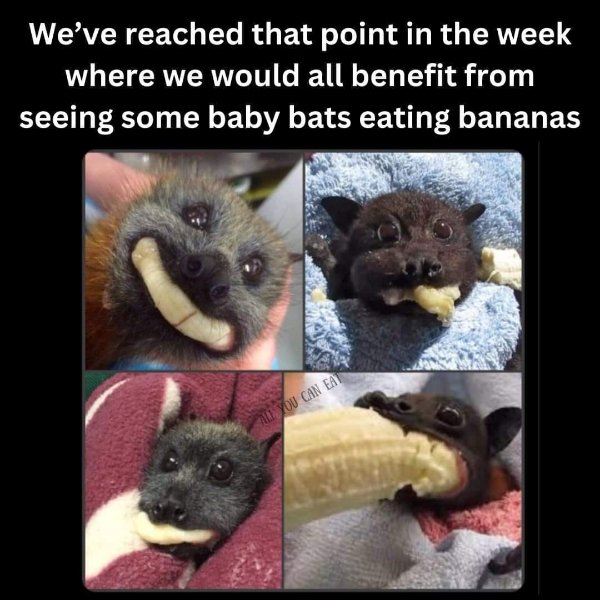 Funny Memes (20 pics)