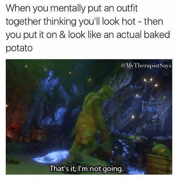 Memes With Grinch (33 pics)