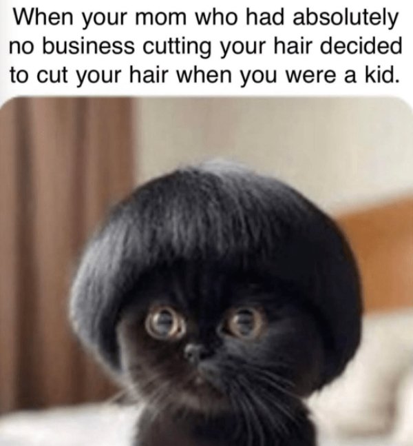 Truthful Memes (24 pics)