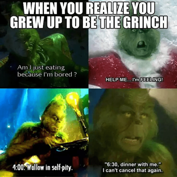 Memes With Grinch (33 pics)