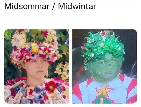 Memes With Grinch (33 pics)