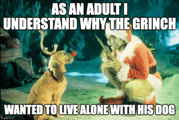 Memes With Grinch (33 pics)