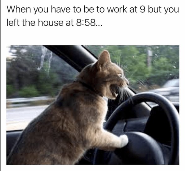 Truthful Memes (24 pics)
