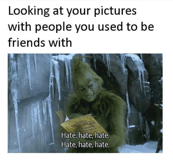 Memes With Grinch (33 pics)