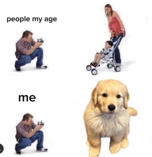 Truthful Memes (24 pics)