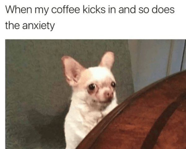 Truthful Memes (24 pics)