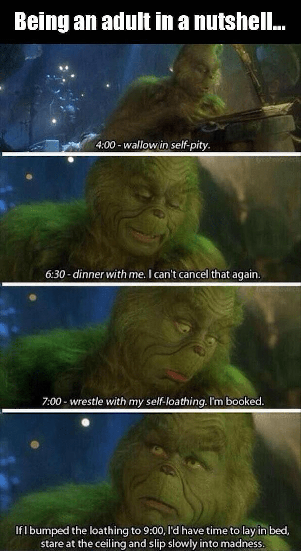 Memes With Grinch (33 pics)