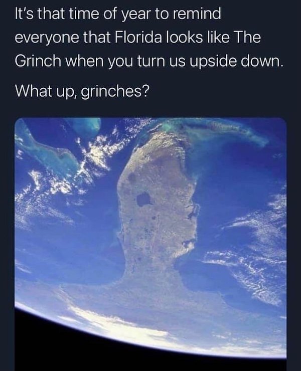 Memes With Grinch (33 pics)