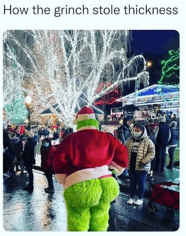 Memes With Grinch (33 pics)