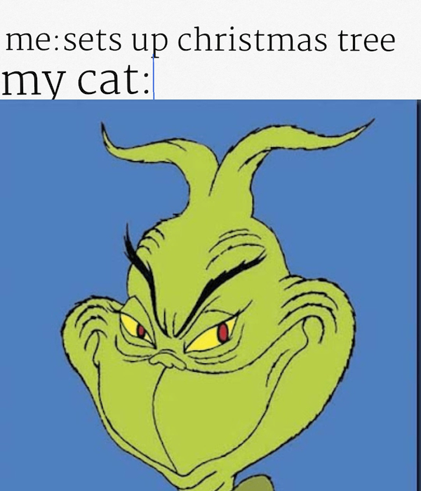 Memes With Grinch (33 pics)