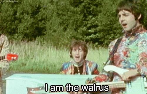 Random Facts (16 gifs) Random Facts (16 gifs)