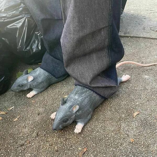 Terrible Fashion (15 pics)