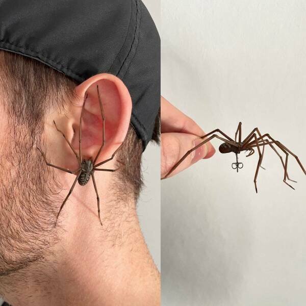 Terrible Fashion (15 pics)
