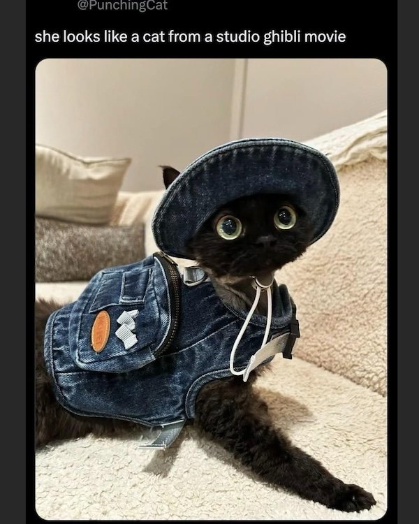 Memes For Movie Fans (31 pics)