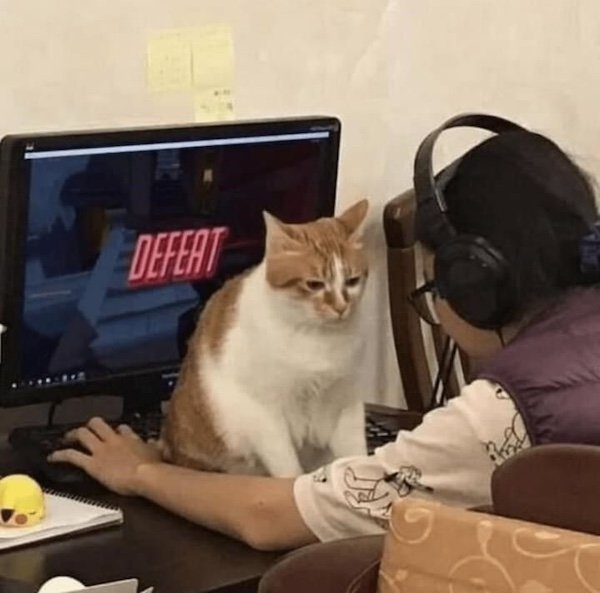 Pictures For Gamers (25 pics)