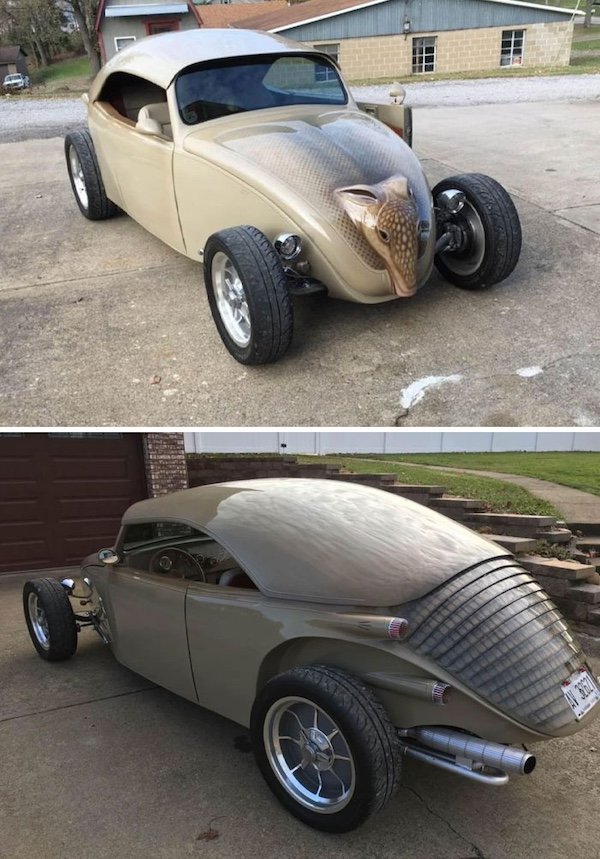 Crazy Tuning (23 pics)